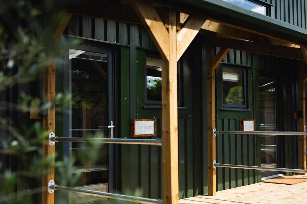 مبيت وإفطار كنوتسفورد Owen House Farm المظهر الخارجي الصورة