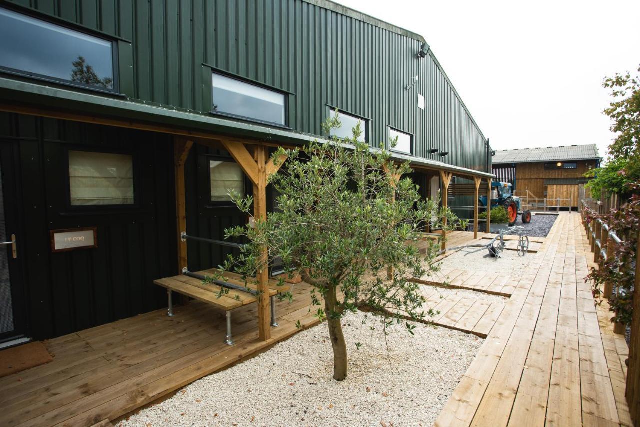 مبيت وإفطار كنوتسفورد Owen House Farm المظهر الخارجي الصورة