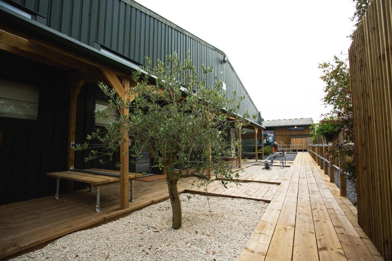 مبيت وإفطار كنوتسفورد Owen House Farm المظهر الخارجي الصورة