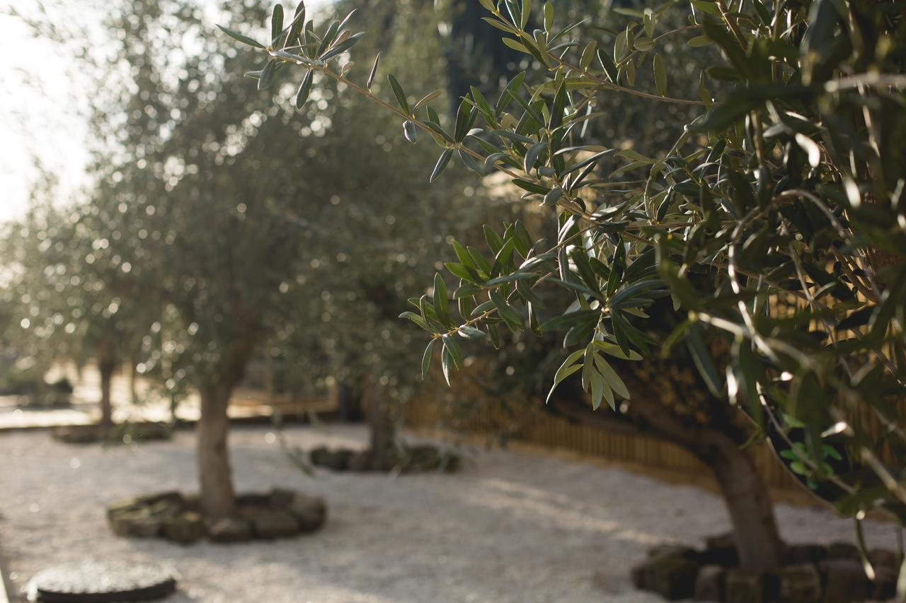 مبيت وإفطار كنوتسفورد Owen House Farm المظهر الخارجي الصورة