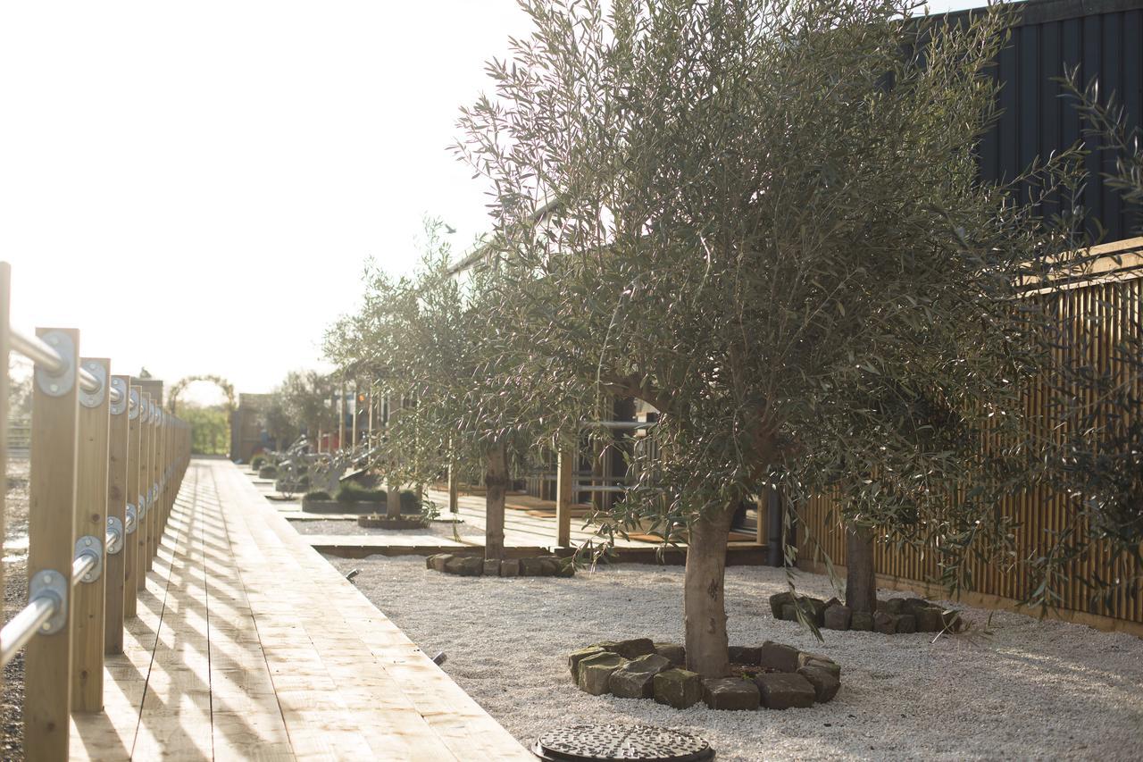 مبيت وإفطار كنوتسفورد Owen House Farm المظهر الخارجي الصورة
